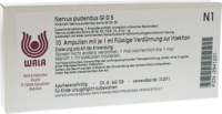 NERVUS-PUDENDUS-GL-D-5-Ampullen