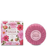 SFUMATURE DI DALIA SEIFE